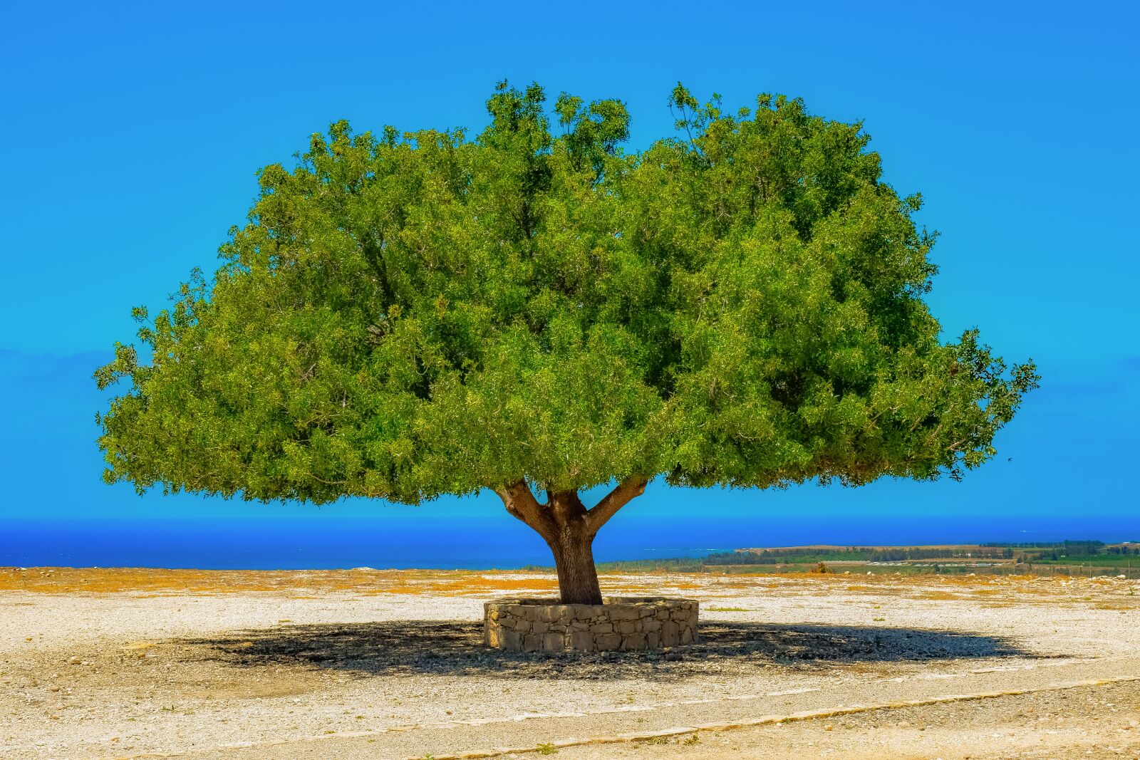 Nikon D3300 sample photo. Tree, landscape, horizon photography