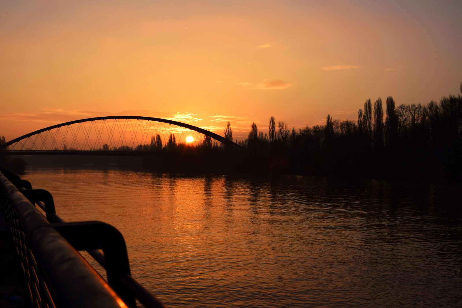 Nikon D5300 sample photo. Sunrise, bridge, main photography