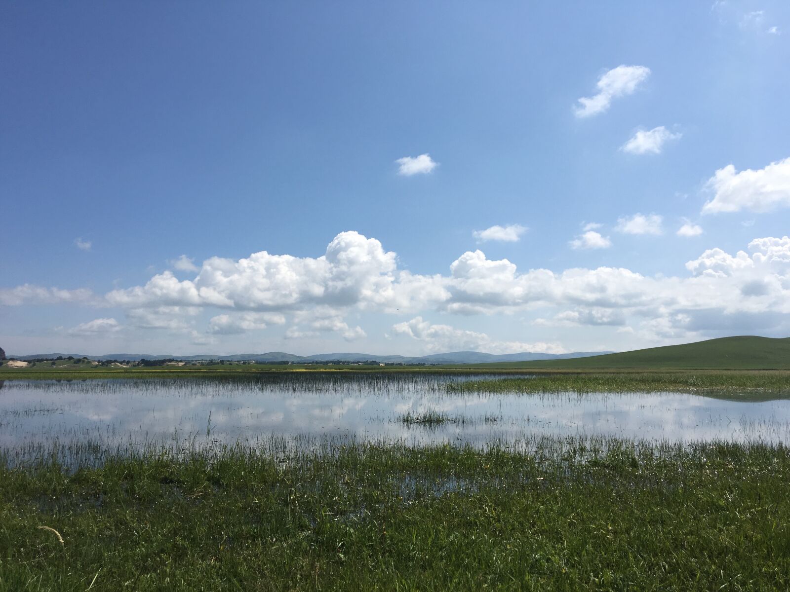Apple iPhone 6s sample photo. Lake, blue sky, grassland photography