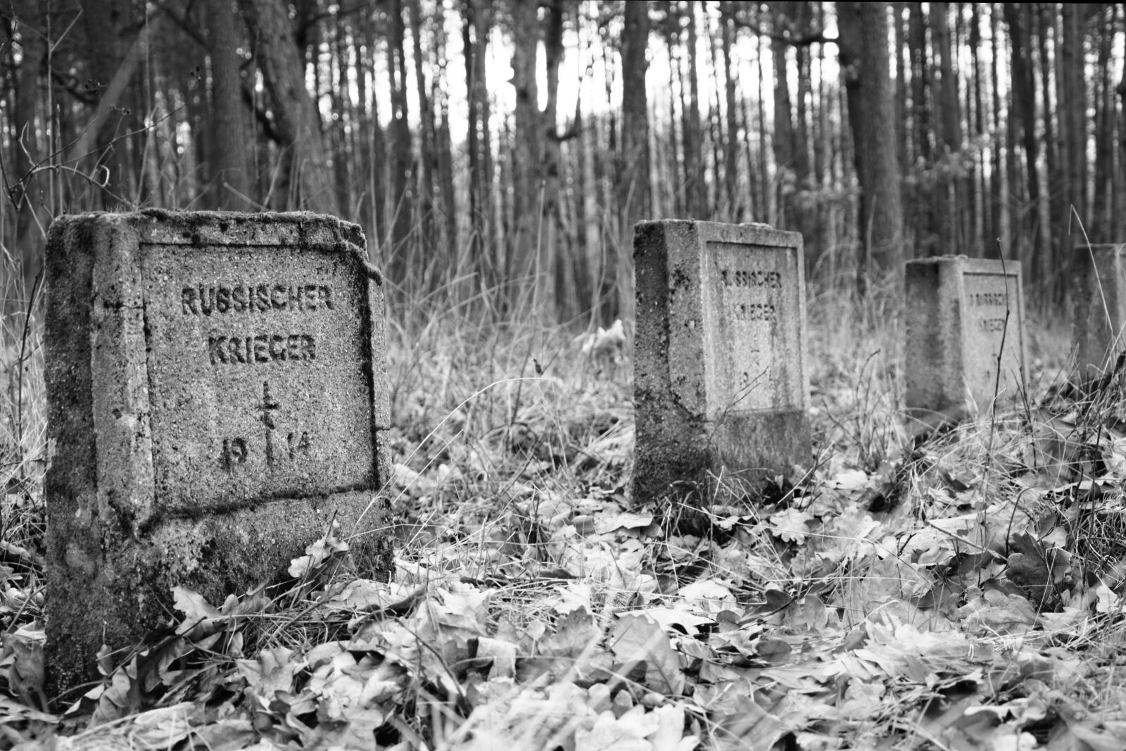 Nikon D3200 sample photo. Cemetery, pawlikowice, world, war photography