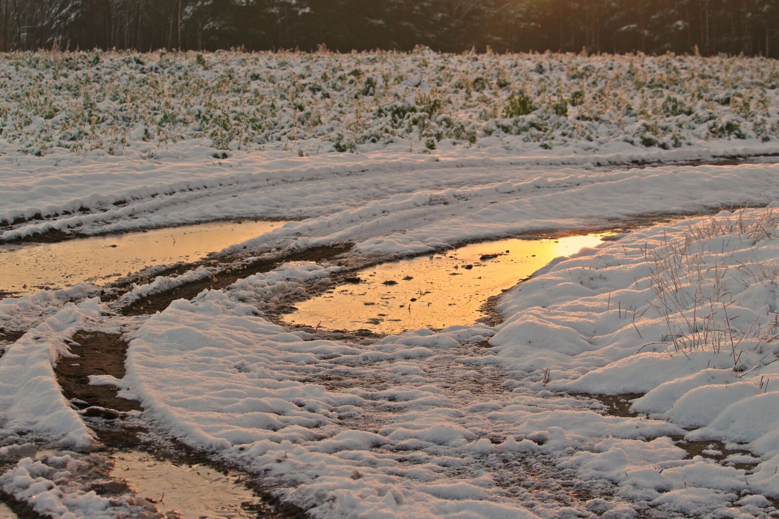 Canon EOS 100D (EOS Rebel SL1 / EOS Kiss X7) sample photo. Winter, snow, sunset photography