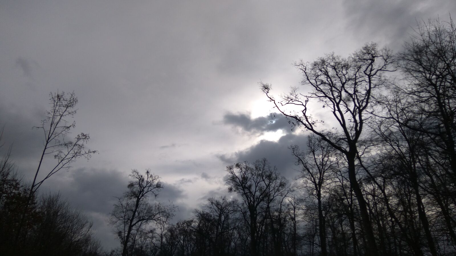 Xiaomi Redmi Note3 sample photo. Gray, wintery, mood photography