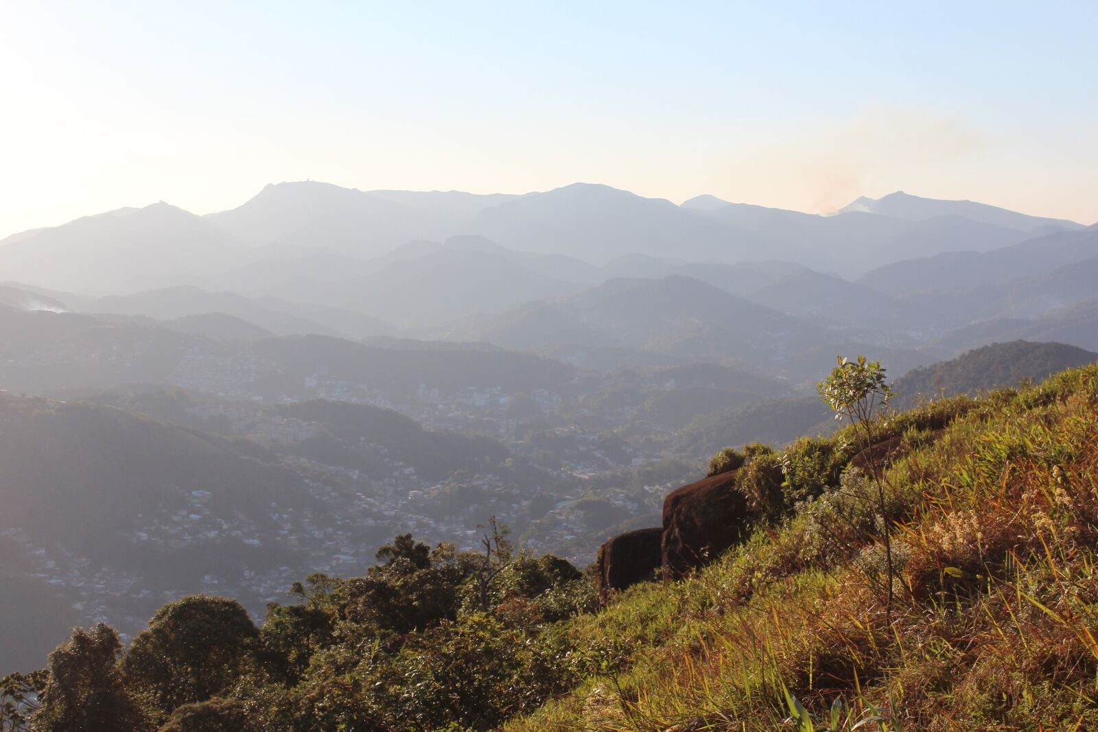 Canon EOS 600D (Rebel EOS T3i / EOS Kiss X5) sample photo. Nature, landscape, plant photography