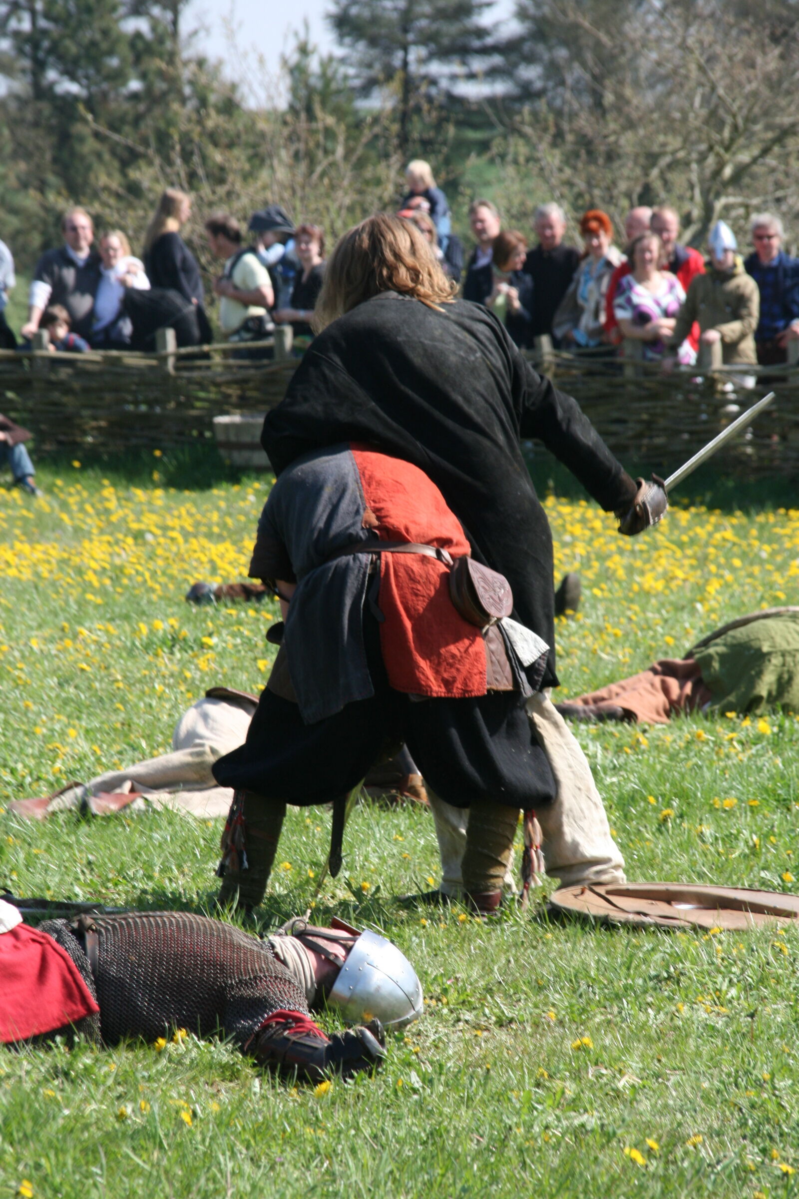 Sigma 18-200mm f/3.5-6.3 DC OS sample photo. Vikings photography