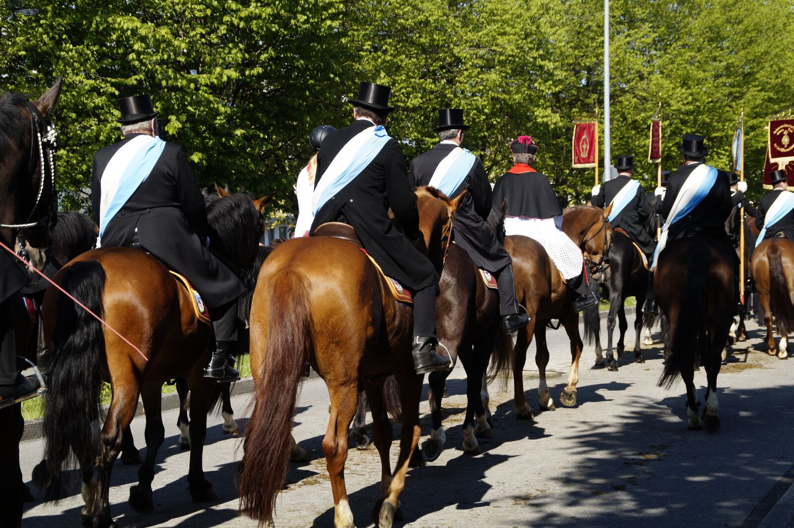 Sony SLT-A58 sample photo. Procession, equestrian procession, vineyard photography