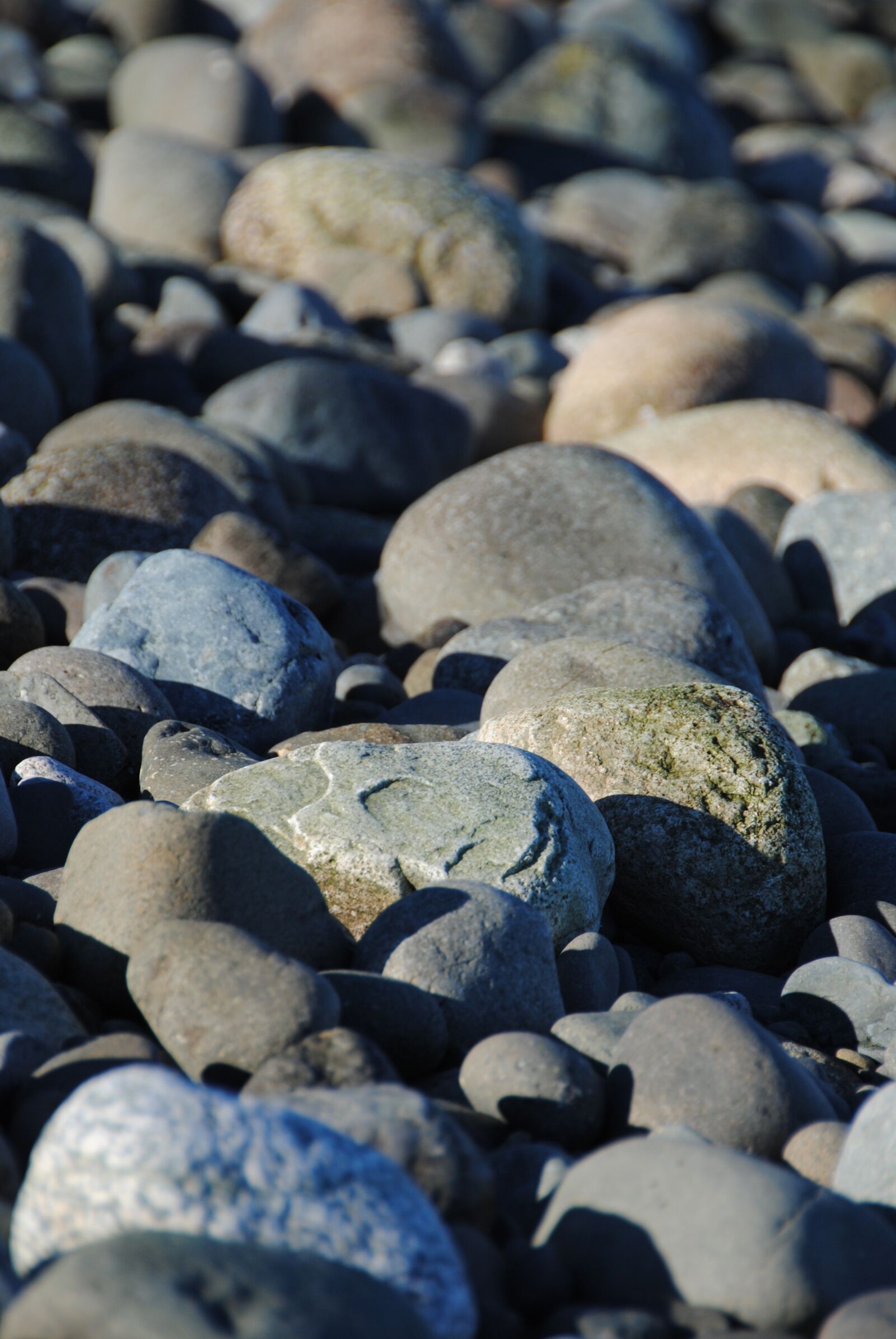Nikon D3000 sample photo. Stones, beach, rocks photography
