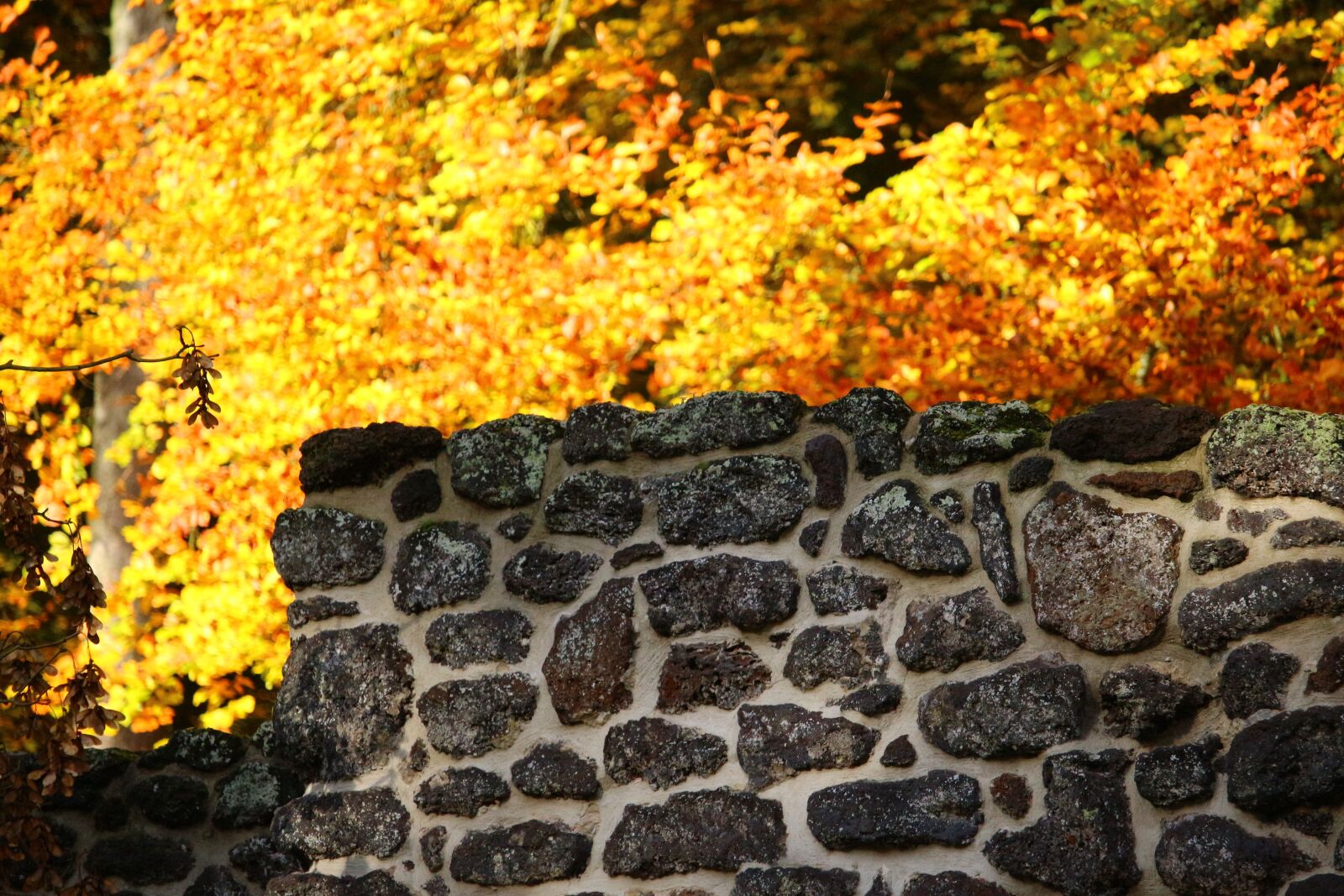 Canon EOS 100D (EOS Rebel SL1 / EOS Kiss X7) sample photo. Wall, iron ore, klump photography