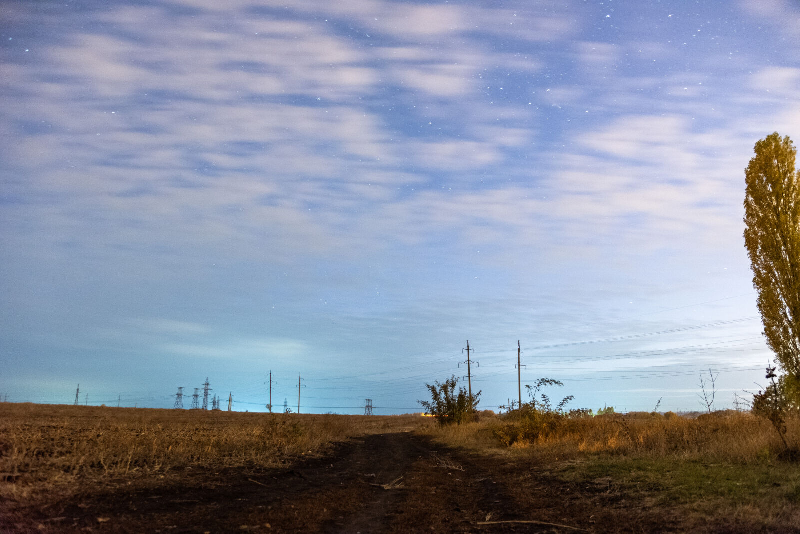 Nikon D750 sample photo