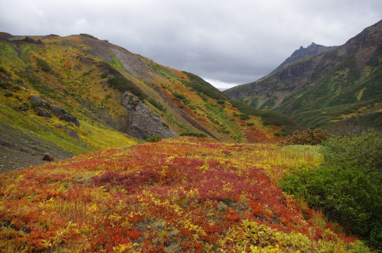 Pentax K-5 sample photo. Mountain tundra, mountains, ranges photography