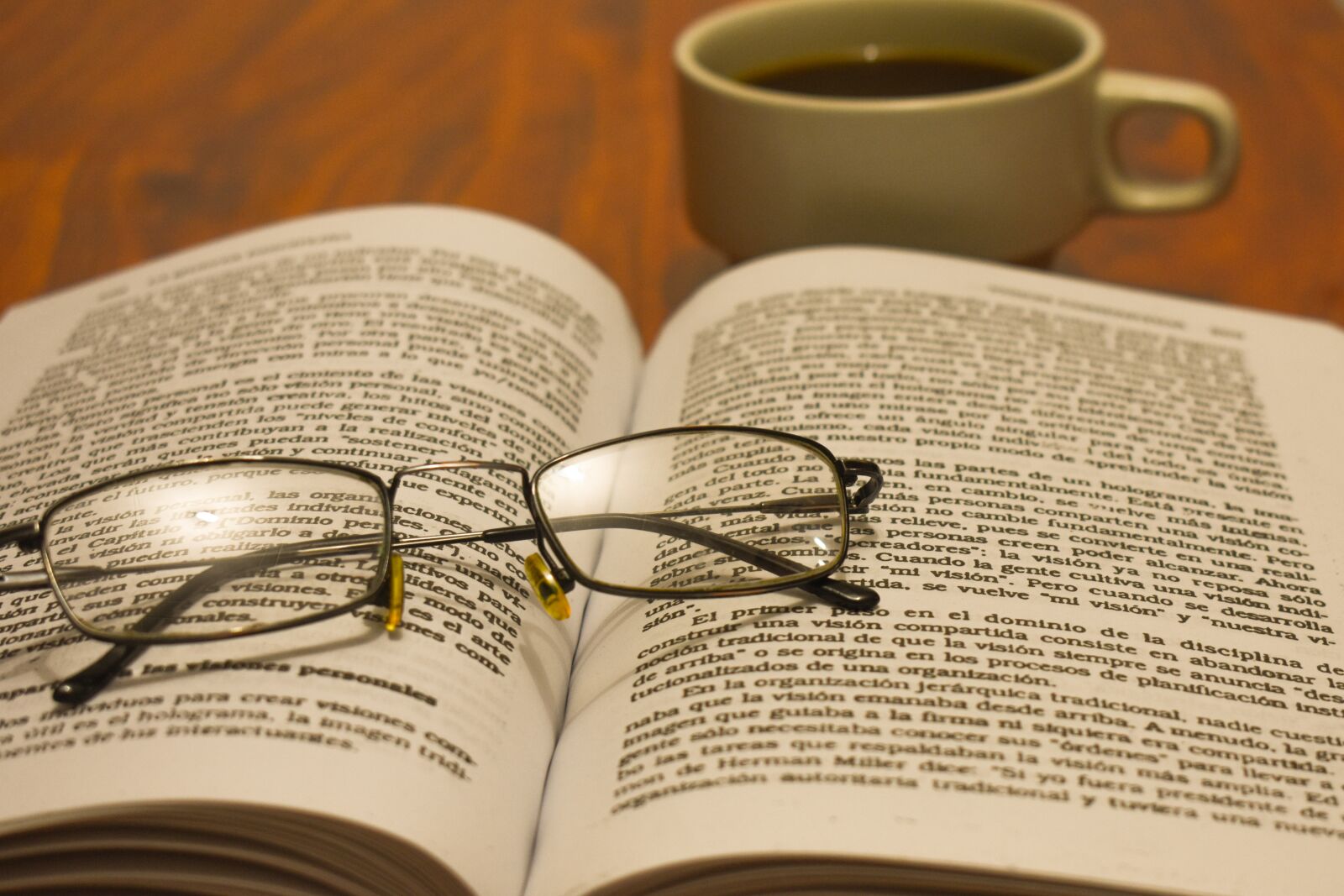Nikon D3400 sample photo. Lenses, book, reading photography