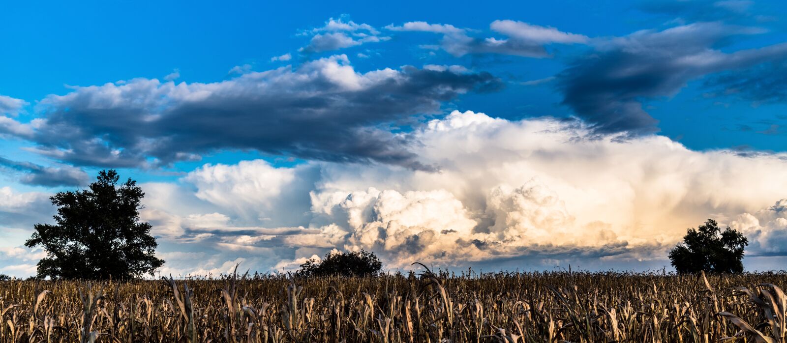 Nikon D850 sample photo. The sky, clouds, blue photography