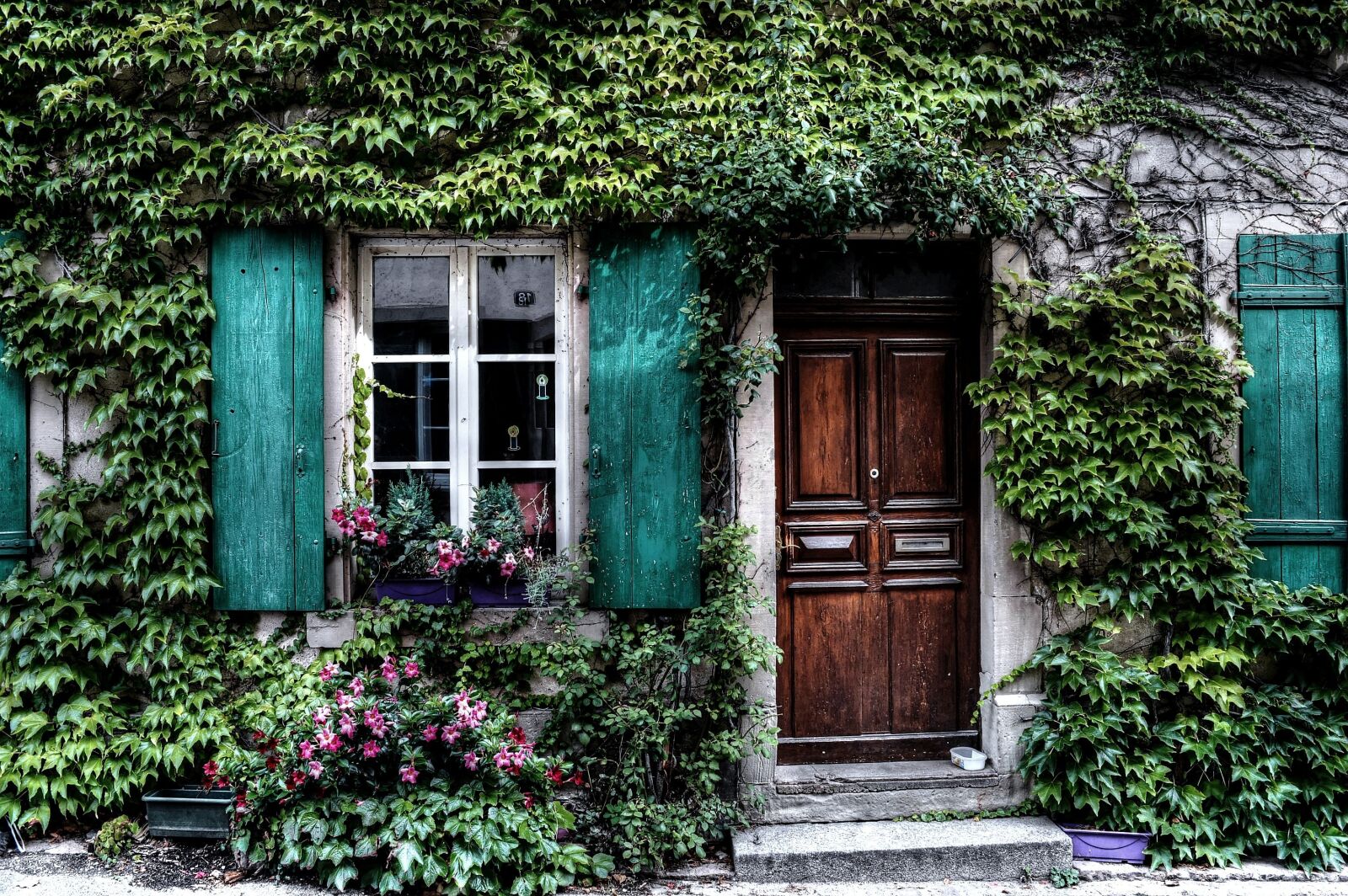 Nikon D3200 sample photo. Ivy, facade, house photography