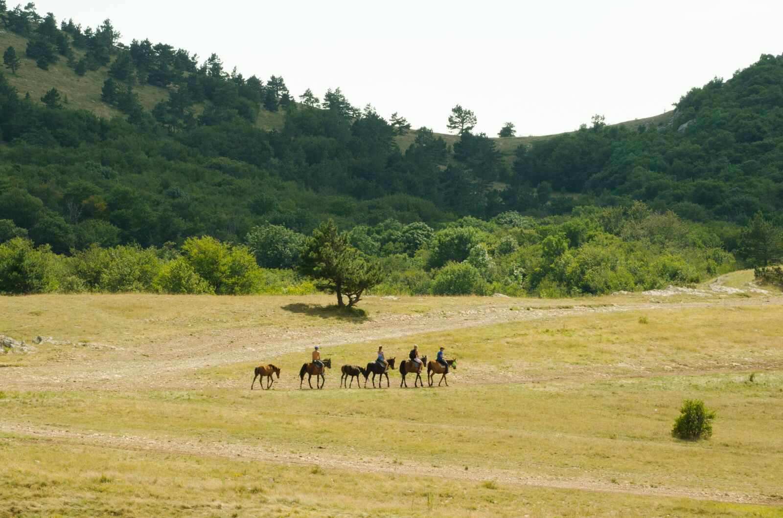Nikon D7000 sample photo. Aipetri, crimea, mountain photography
