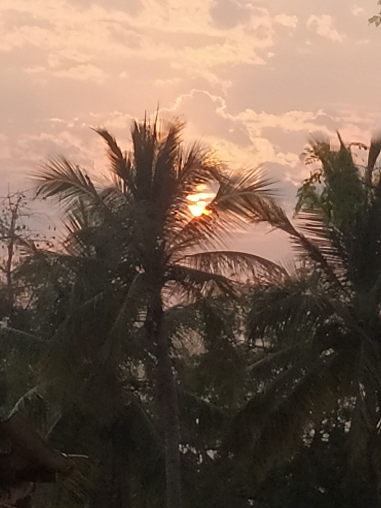 Xiaomi Redmi Note 7 sample photo. Nature, sunset, sun photography