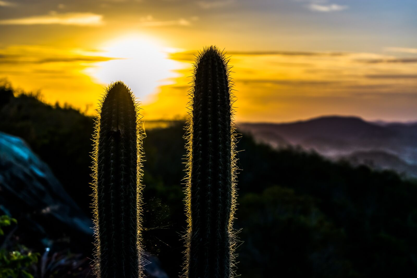 Nikon D5300 sample photo. Sunset, nature, widescreen photography