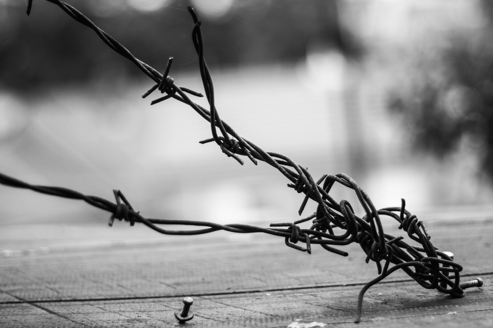 Canon EOS 700D (EOS Rebel T5i / EOS Kiss X7i) + Canon EF 50mm F1.8 STM sample photo. Wire, prison, the depth photography