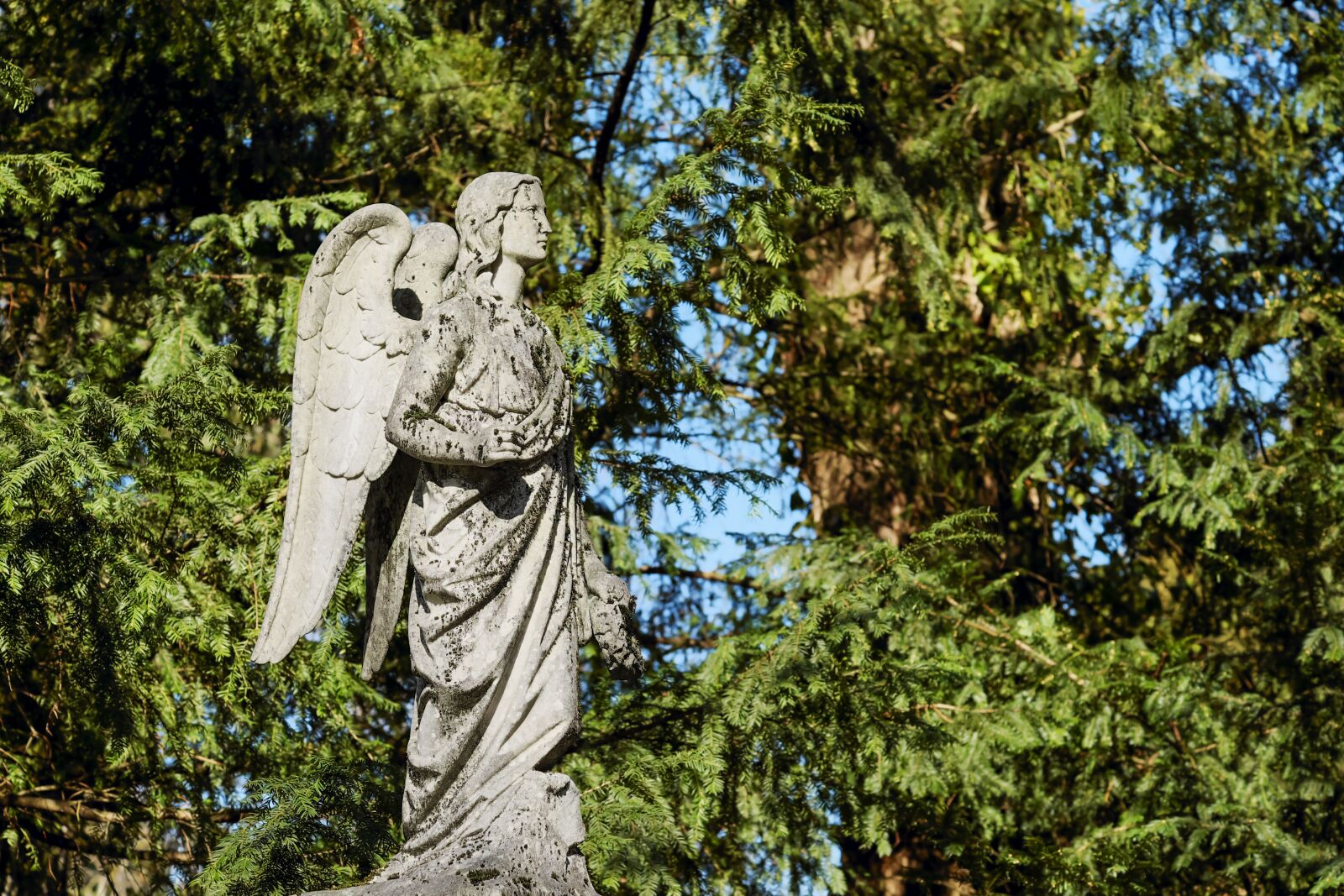 Fujifilm XF 55-200mm F3.5-4.8 R LM OIS sample photo. Angel, figure, stone figure photography