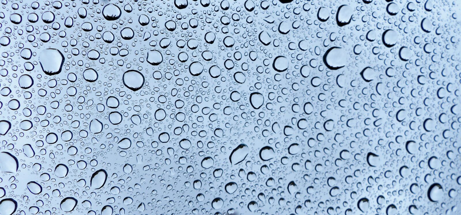 Panasonic Lumix DMC-FZ200 sample photo. Rain, wet, pearl photography