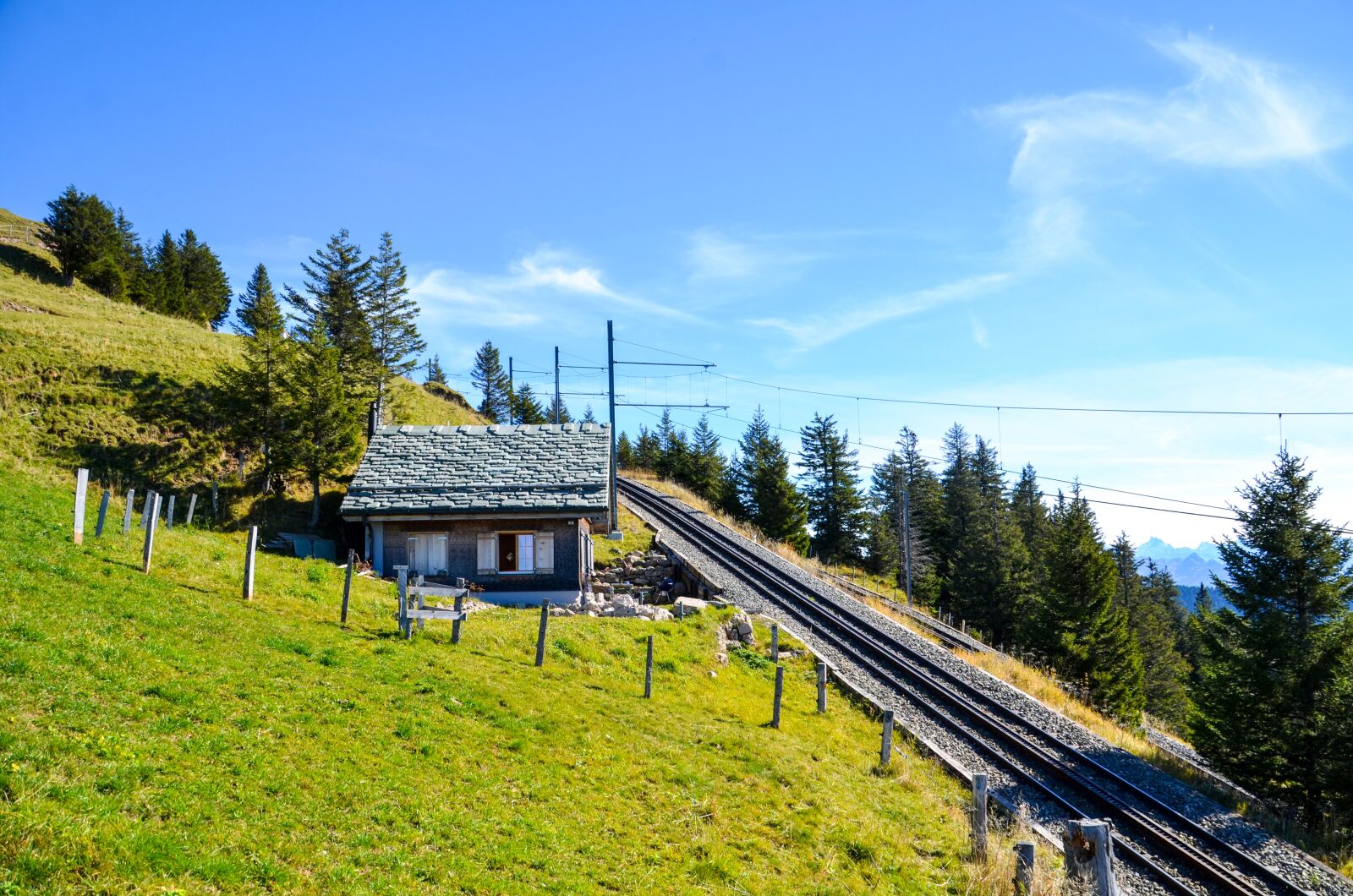 Nikon D7000 sample photo. Rigi, alm, alp photography