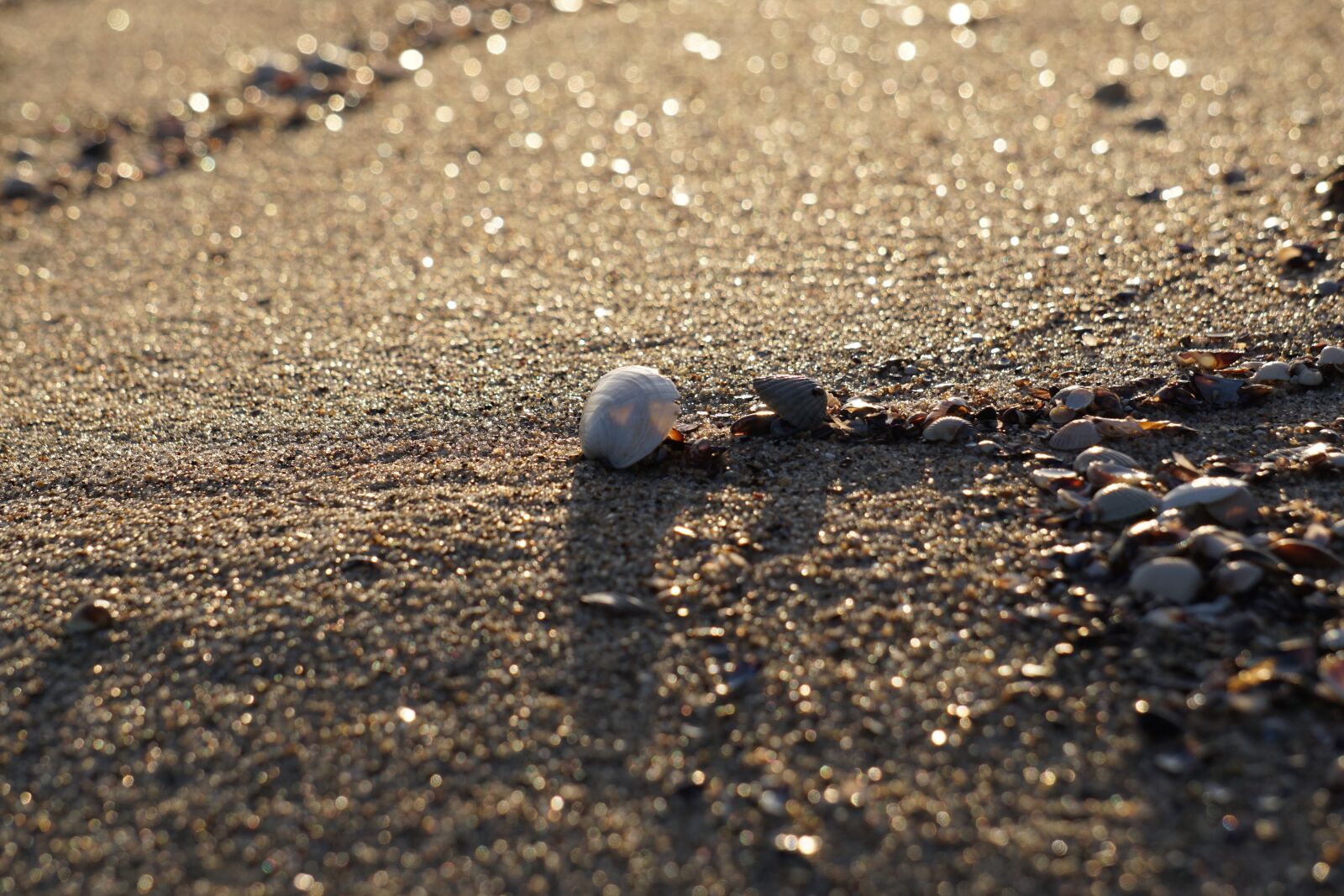 Sony E 55-210mm F4.5-6.3 OSS sample photo. Beach, sand, pebble photography