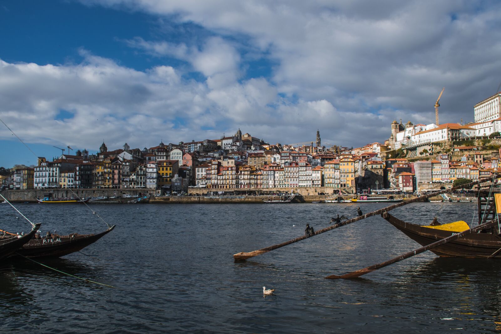 Nikon D5600 sample photo. Rio, boat, trip photography