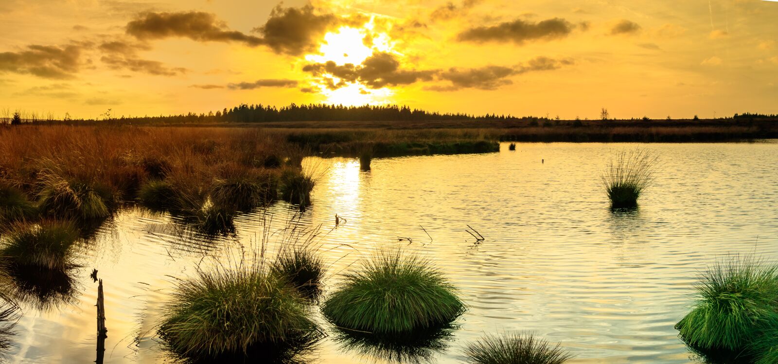 Canon EOS 80D sample photo. Sunset, moor, venn photography