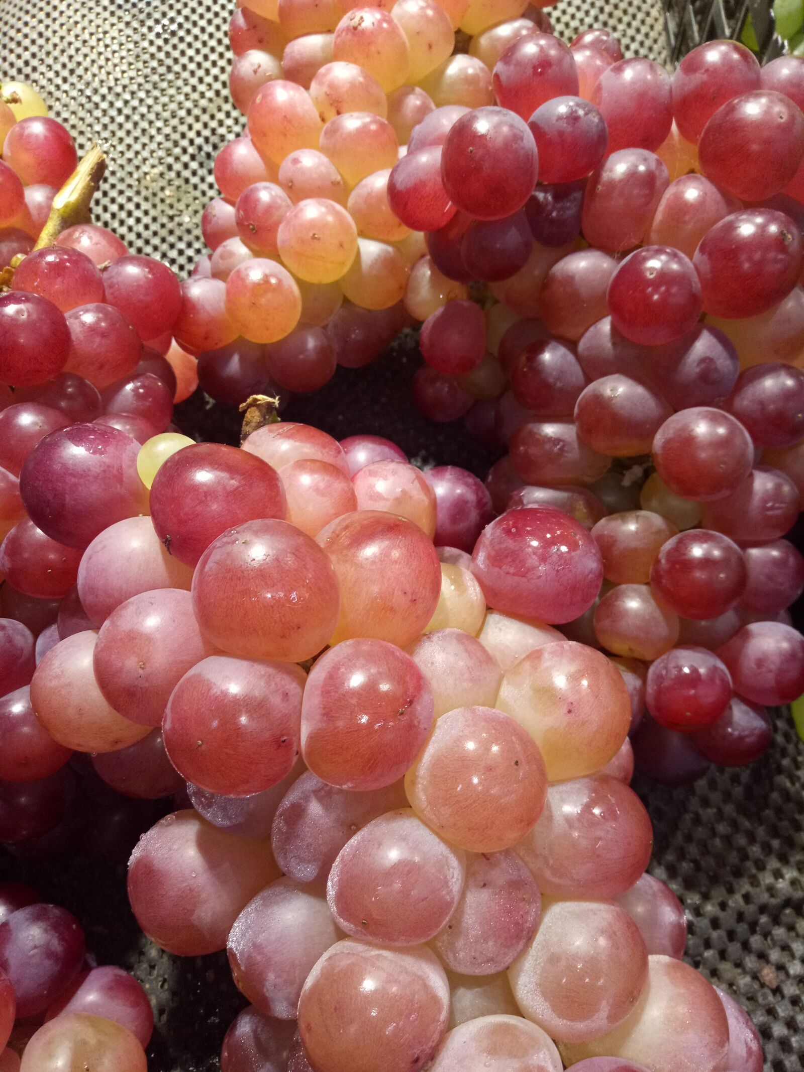 OPPO R9k sample photo. Grape, fruit, summer photography