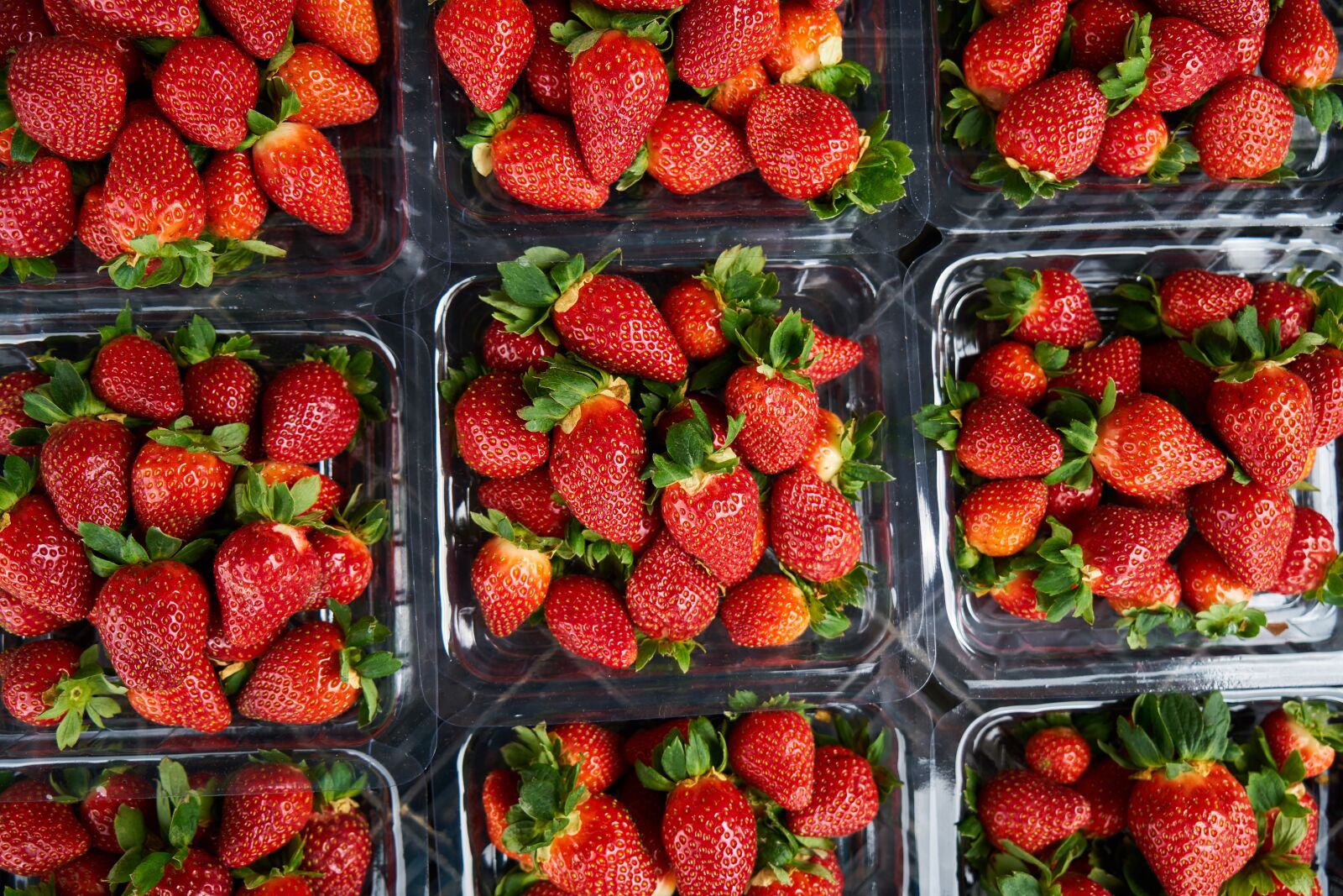 Sony a7R II sample photo. Strawberry, fruit, fresh photography