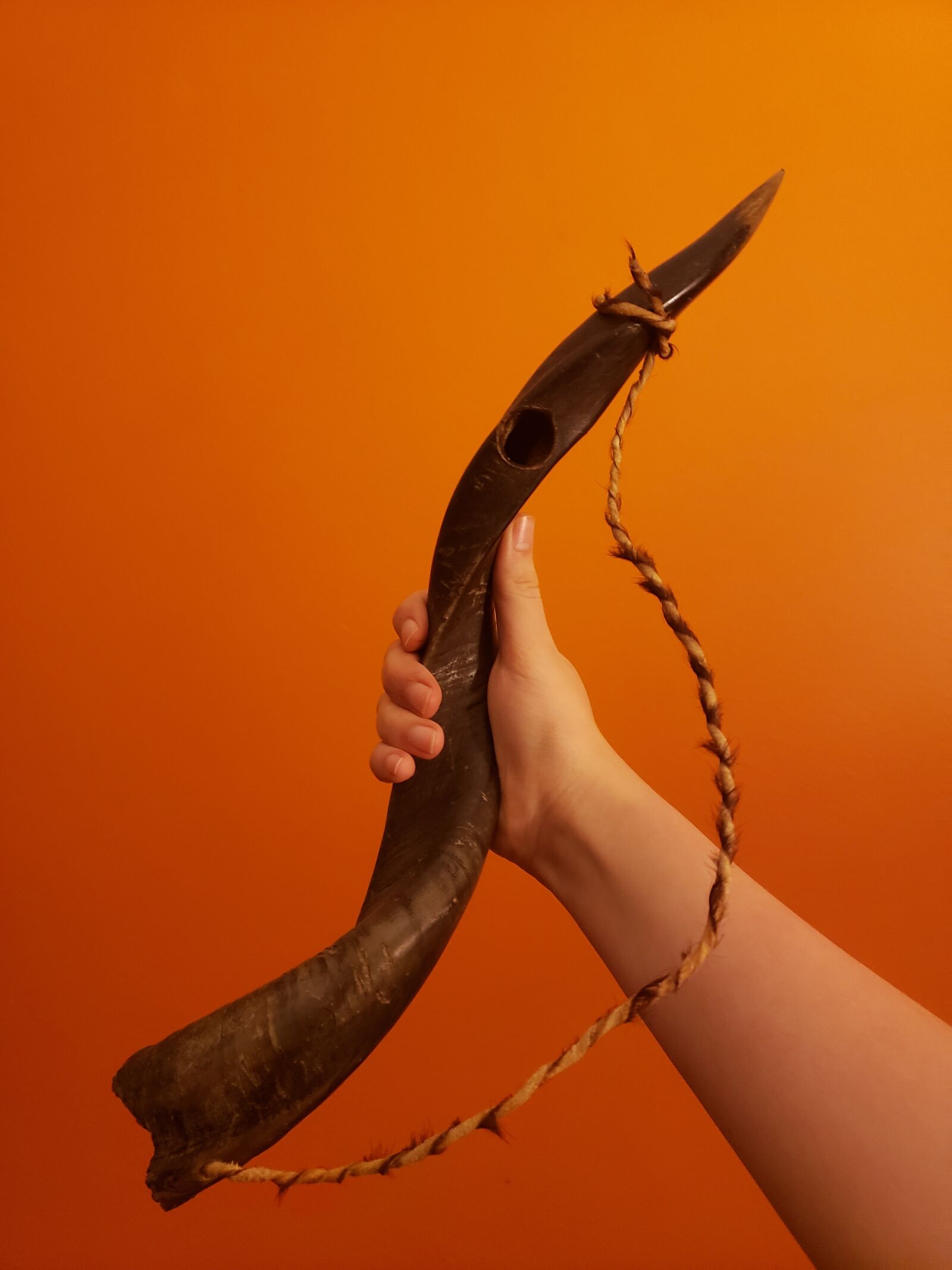 Samsung Galaxy Note9 sample photo. Shofar, jewish, holiday photography