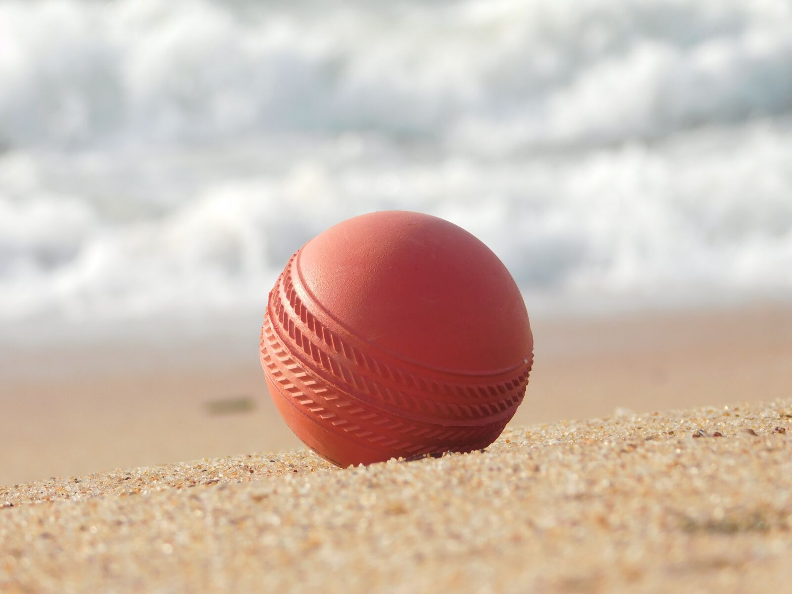 Nikon Coolpix L840 sample photo. Beach, water, cricket photography