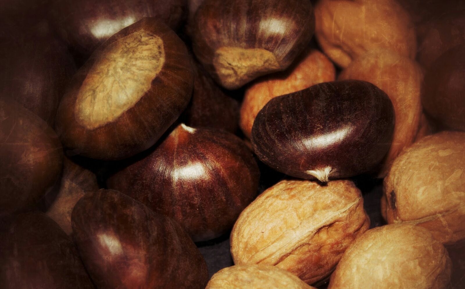 Canon EOS 550D (EOS Rebel T2i / EOS Kiss X4) sample photo. Chestnuts, walnuts, november photography