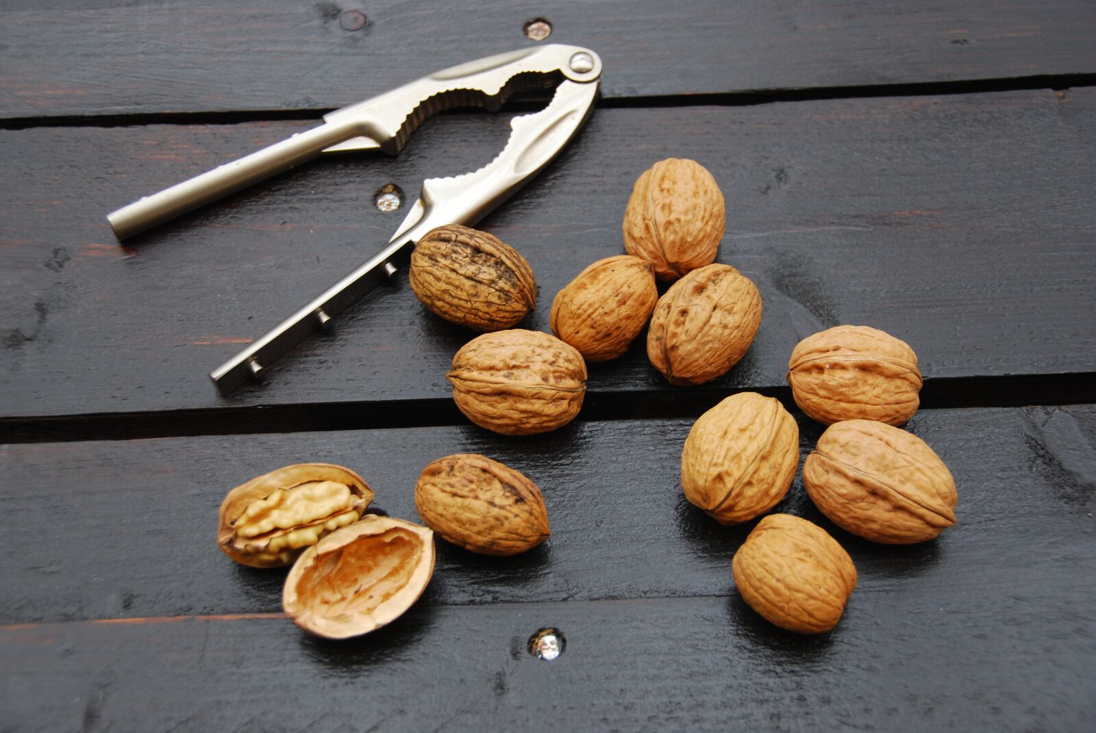 Nikon D80 sample photo. Walnuts, wood, winter photography