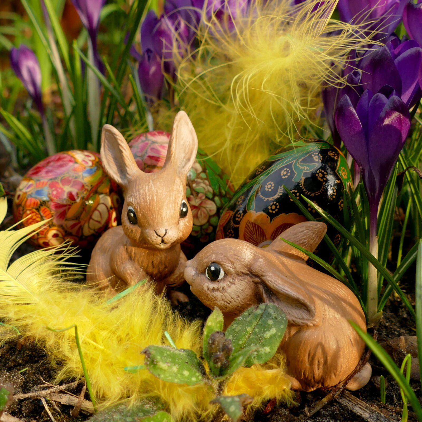 Panasonic Lumix DMC-FZ1000 sample photo. Easter, easter bunny, hare photography