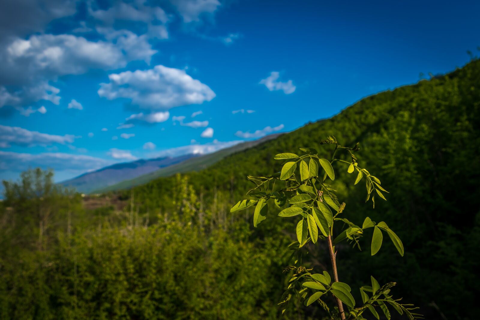 Nikon D3300 sample photo. Sky, nature, mountain photography