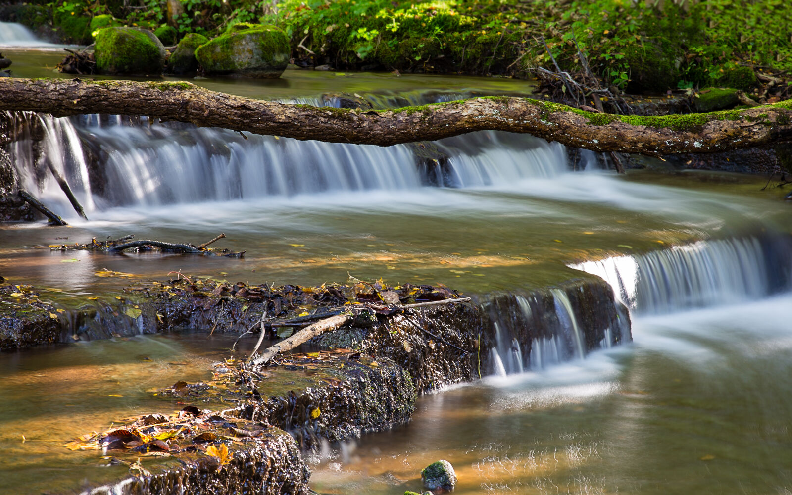 Canon EF 24-105mm F4L IS USM sample photo. Forest, long, exposure, nature photography