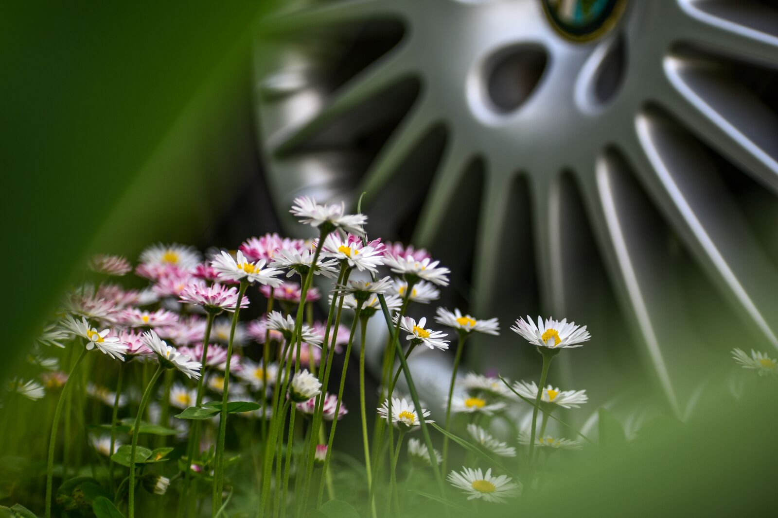 Nikon D3400 sample photo. Flowers, grass, car wheel photography