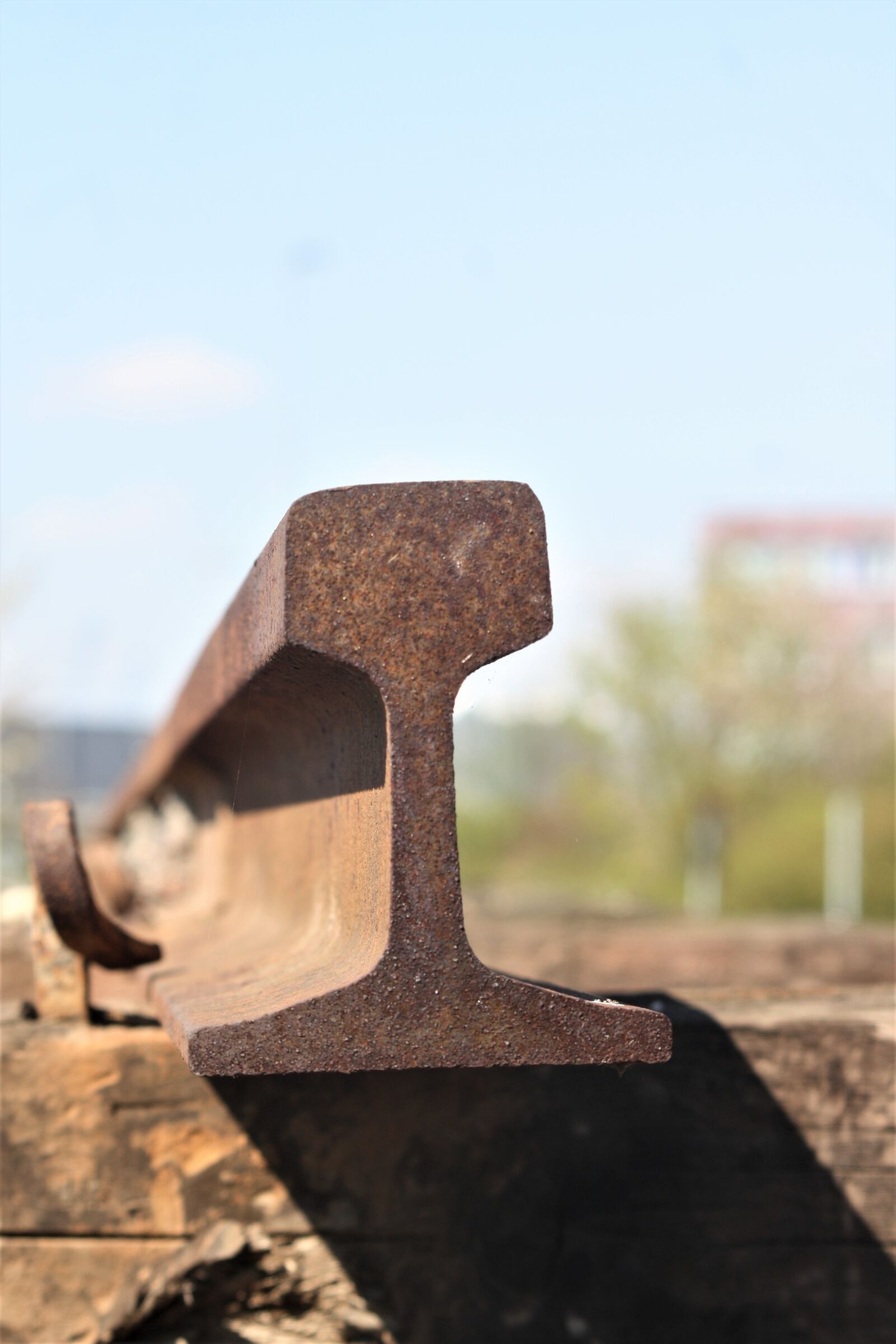 Canon EOS 1000D (EOS Digital Rebel XS / EOS Kiss F) sample photo. Track, sill, profile photography