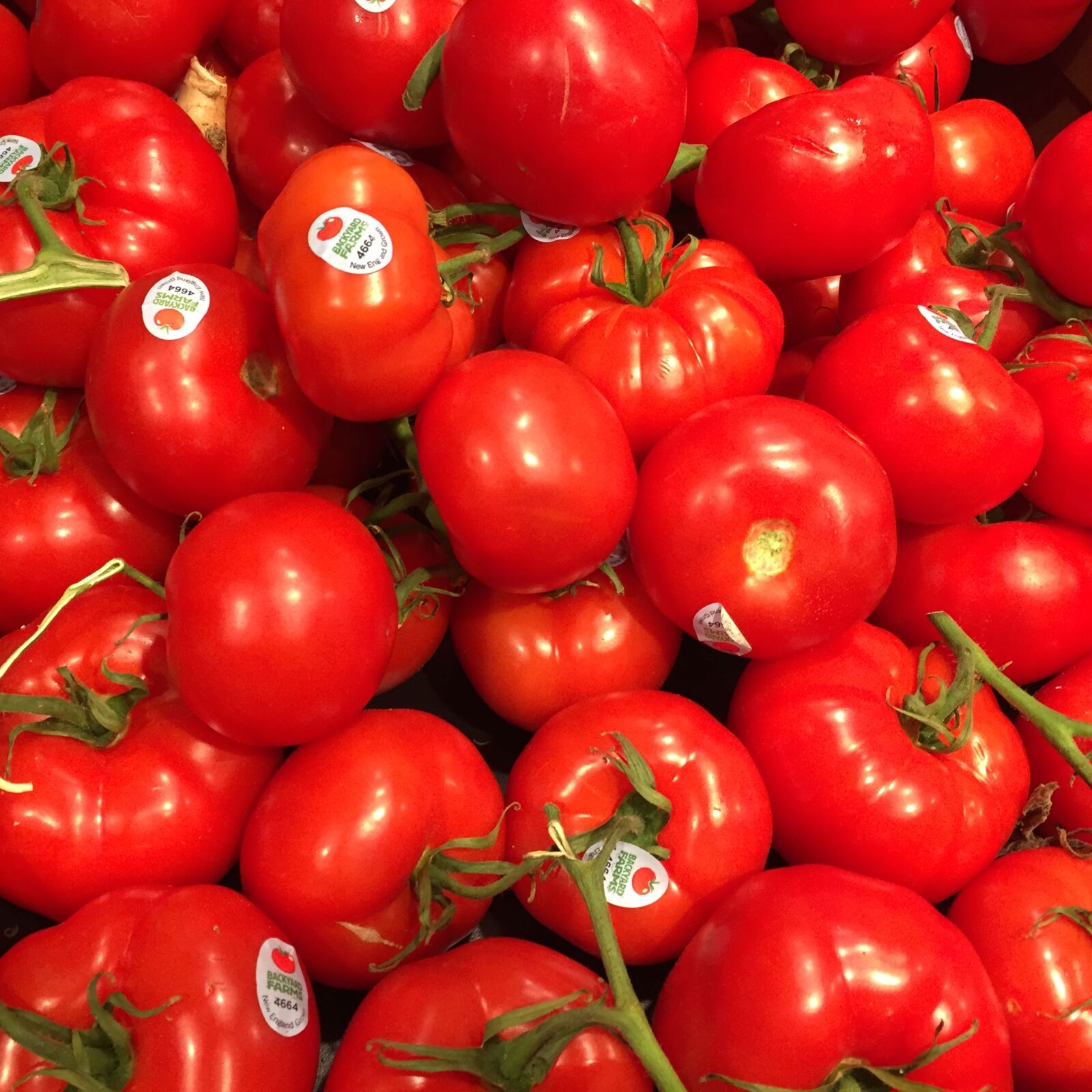 iPhone 6 back camera 4.15mm f/2.2 sample photo. Fresh, vegetable, tomato photography