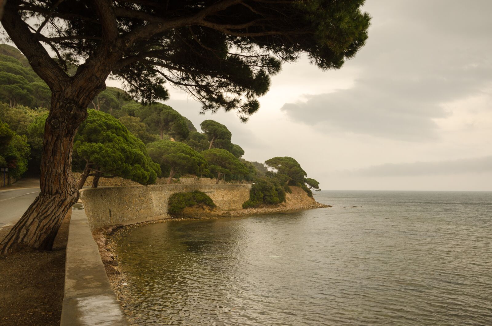 Nikon D5100 sample photo. South of france, france photography
