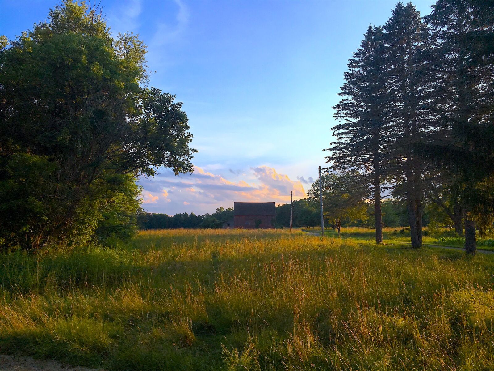 Apple iPhone 6s sample photo. Field, farm, sunset photography