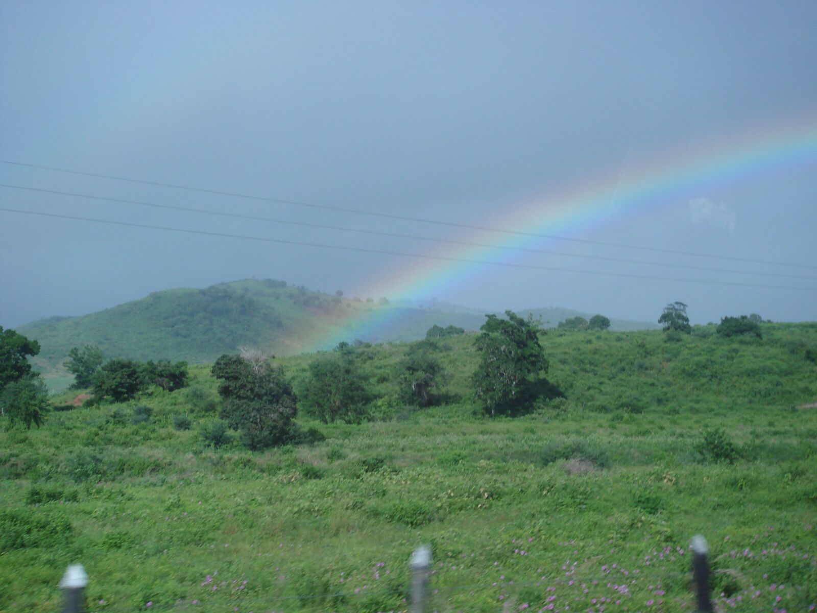 Sony DSC-T50 sample photo. Rainbow, vegetation, nature photography