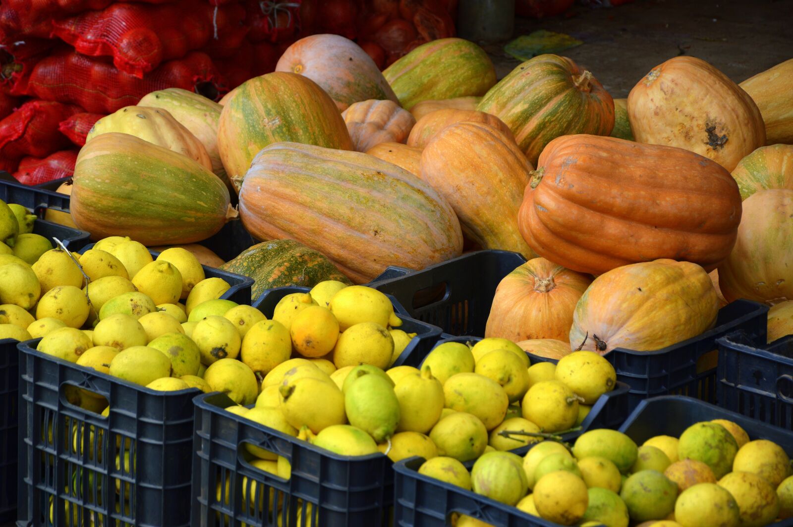 Nikon D3200 sample photo. Fruit, vegetables, pumpkins photography