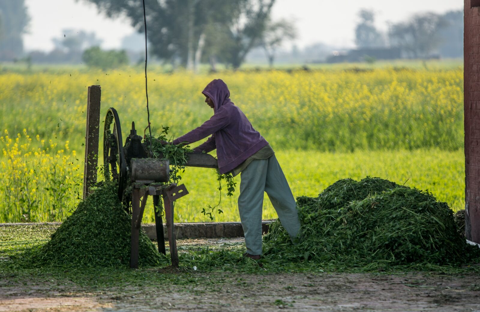 Nikon D7100 sample photo. Cutter, labor, machine photography