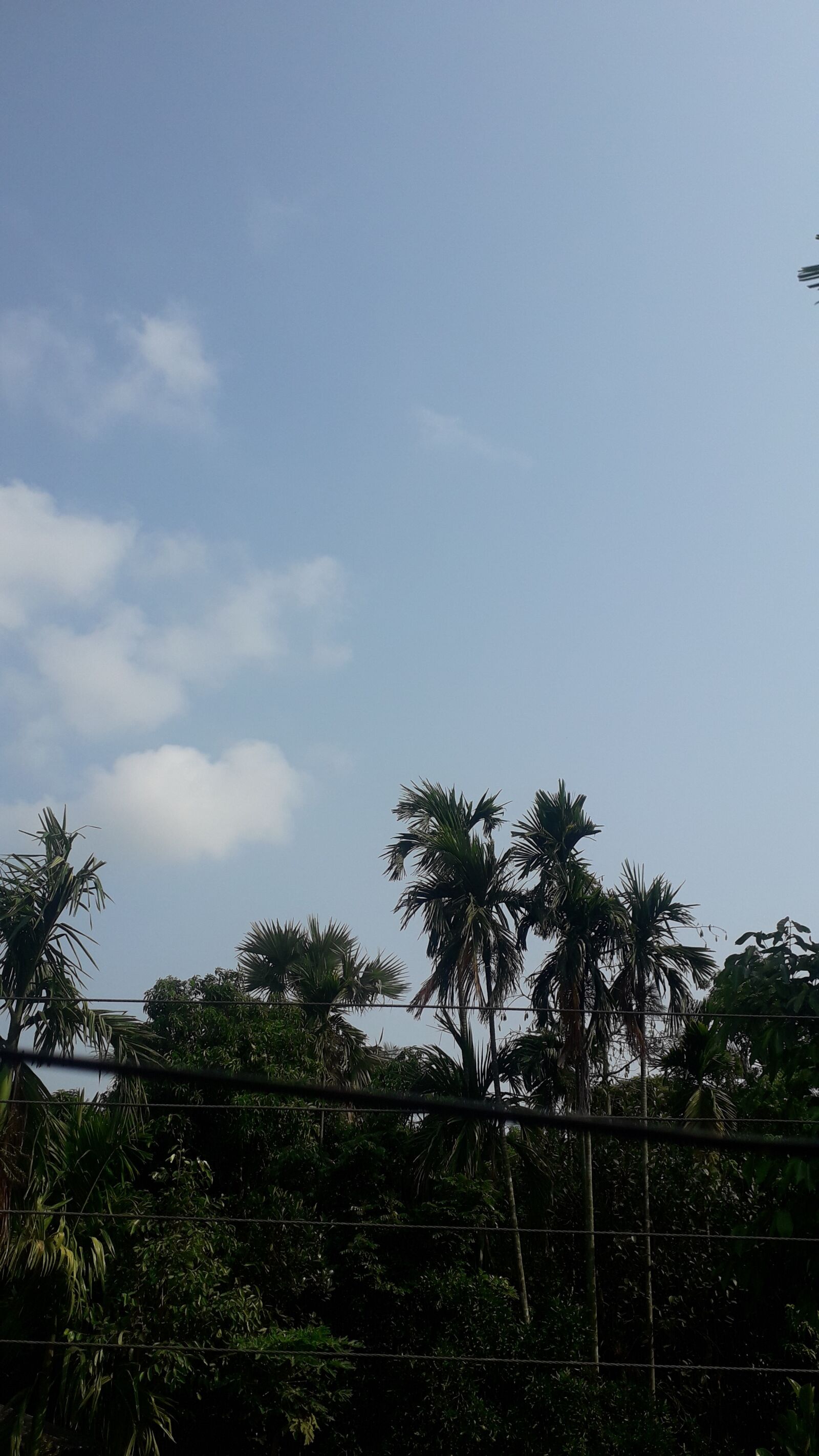 Samsung Galaxy J4 sample photo. Nature, world, beauty photography