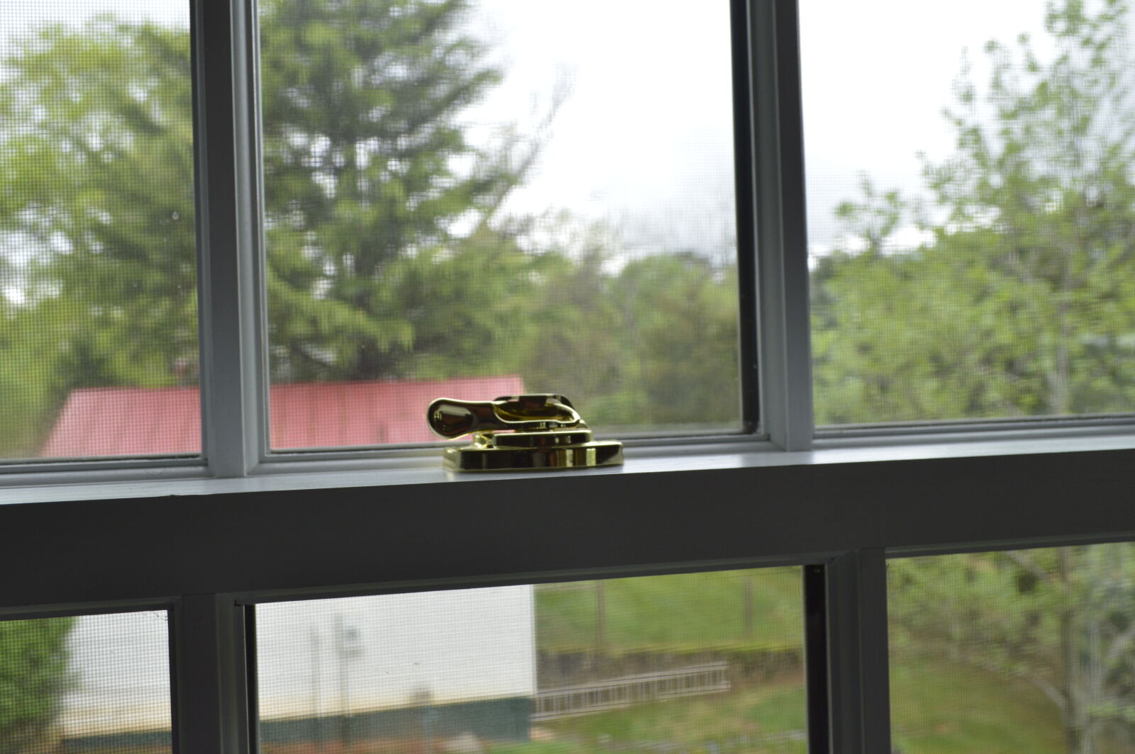 Nikon D3200 sample photo. Back, yard, background, blurry photography