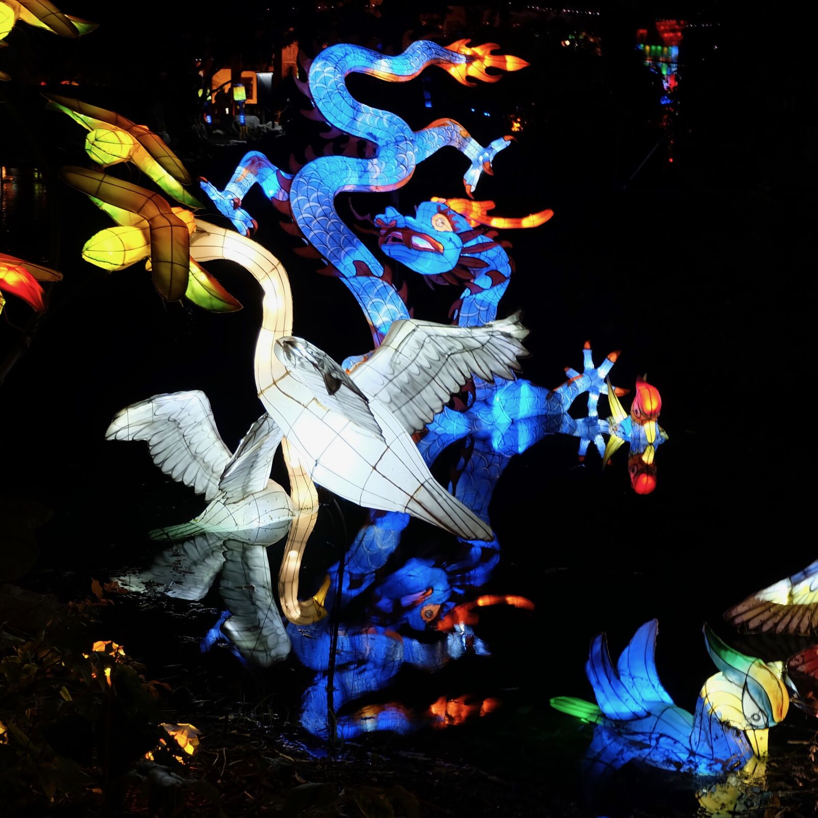 Fujifilm X-A2 sample photo. Lantern, festival, at, montreal photography
