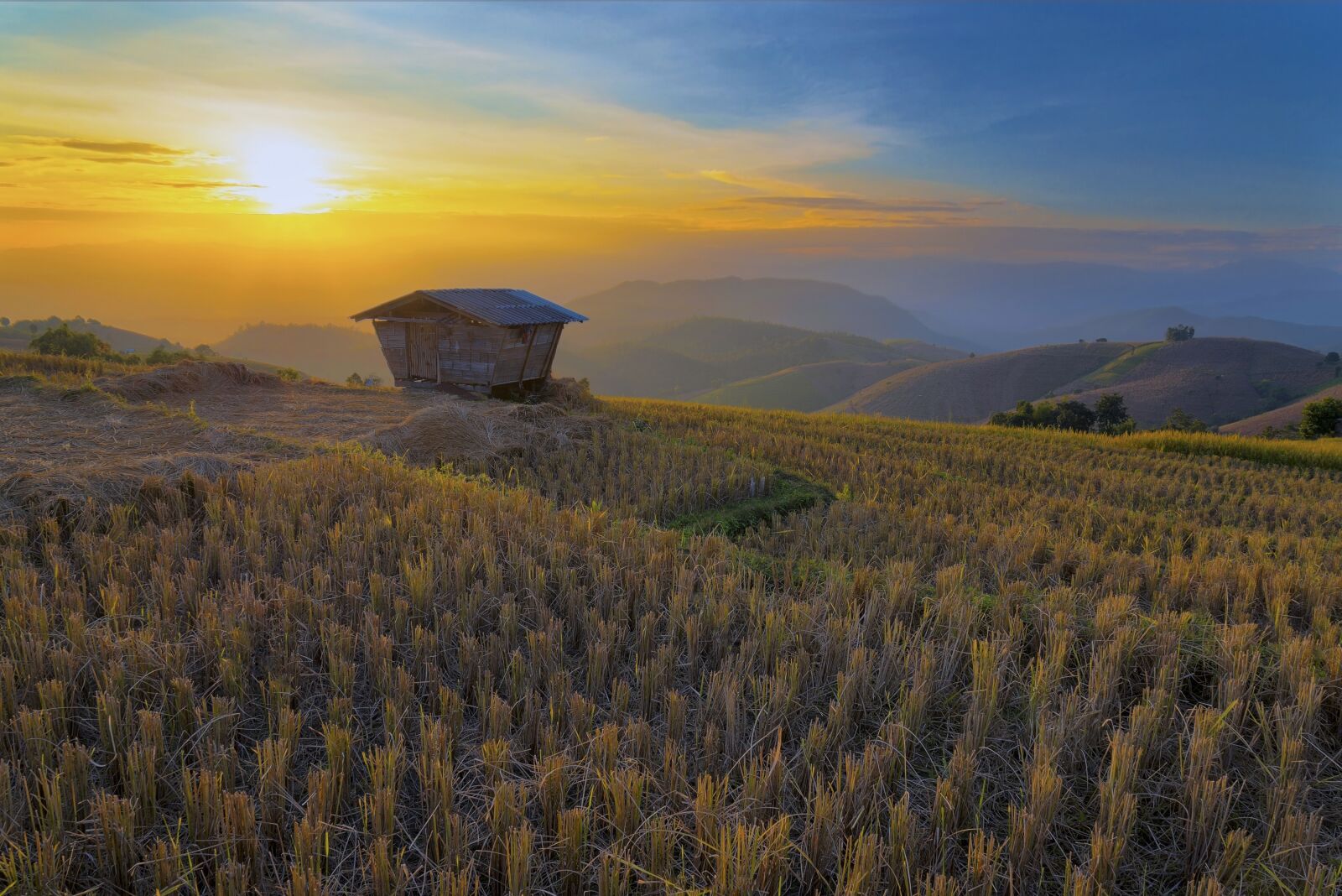 Nikon D800 sample photo. Asia, beautiful, chiang mai photography