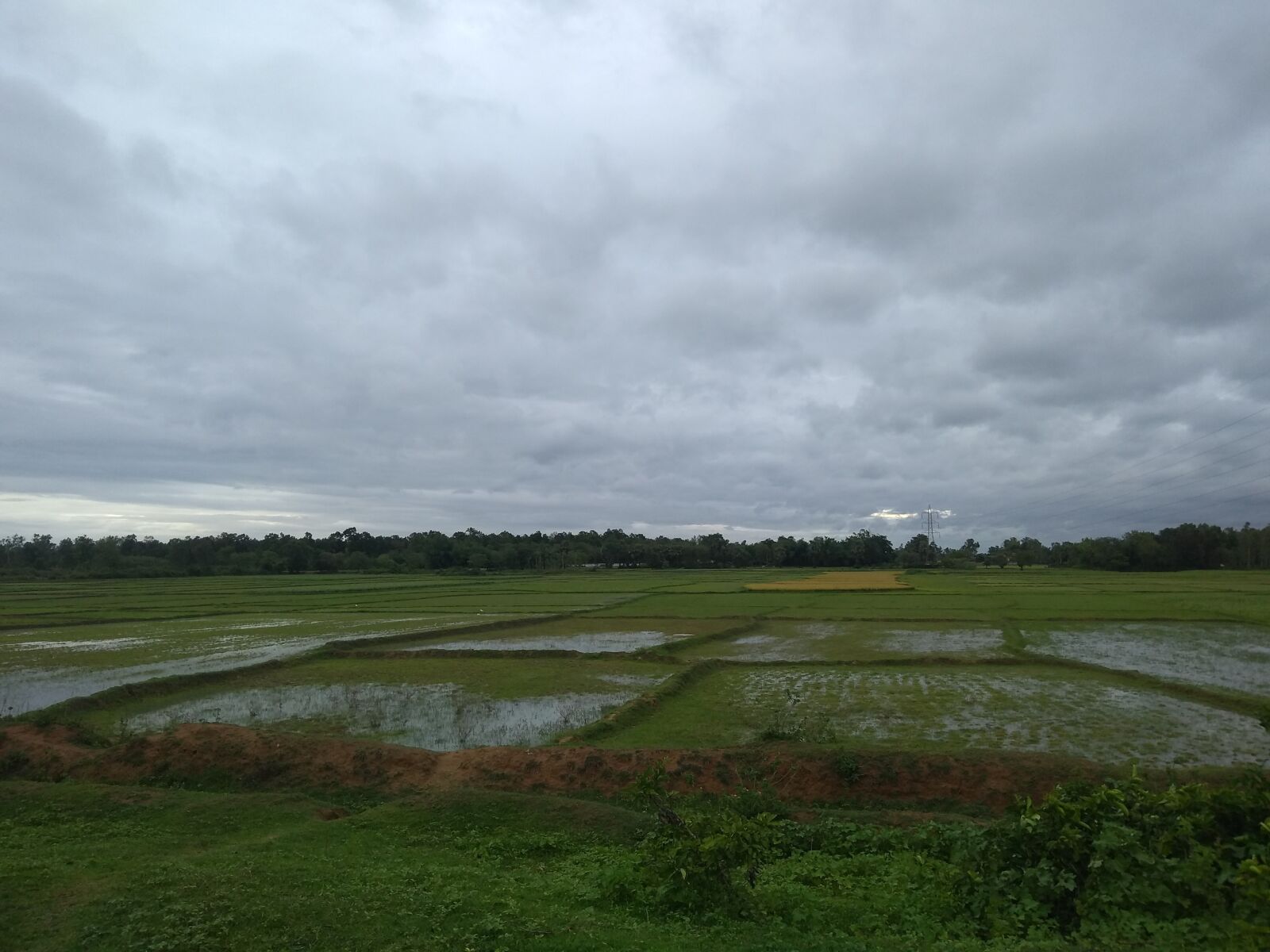 Motorola Moto G (5S) Plus sample photo. Real nature, nature, architecture photography