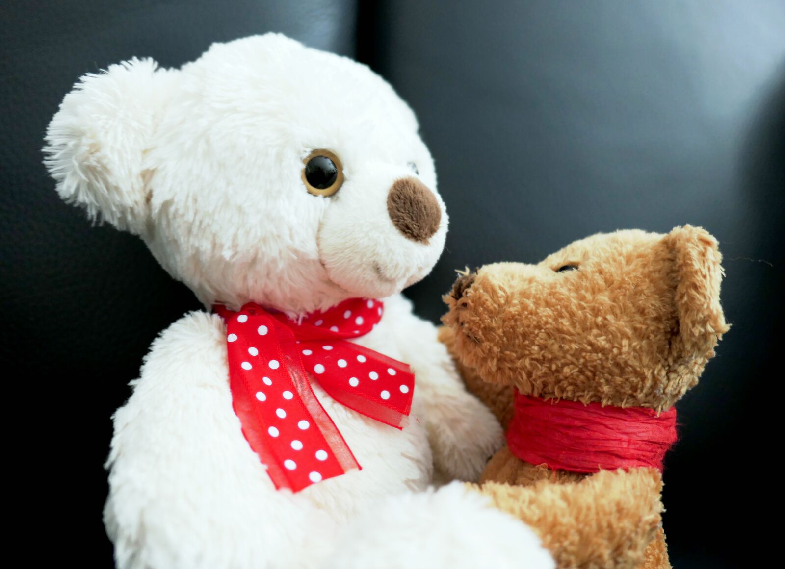 Panasonic Lumix DMC-LX10 (Lumix DMC-LX15) sample photo. Talk, bears, teddy photography