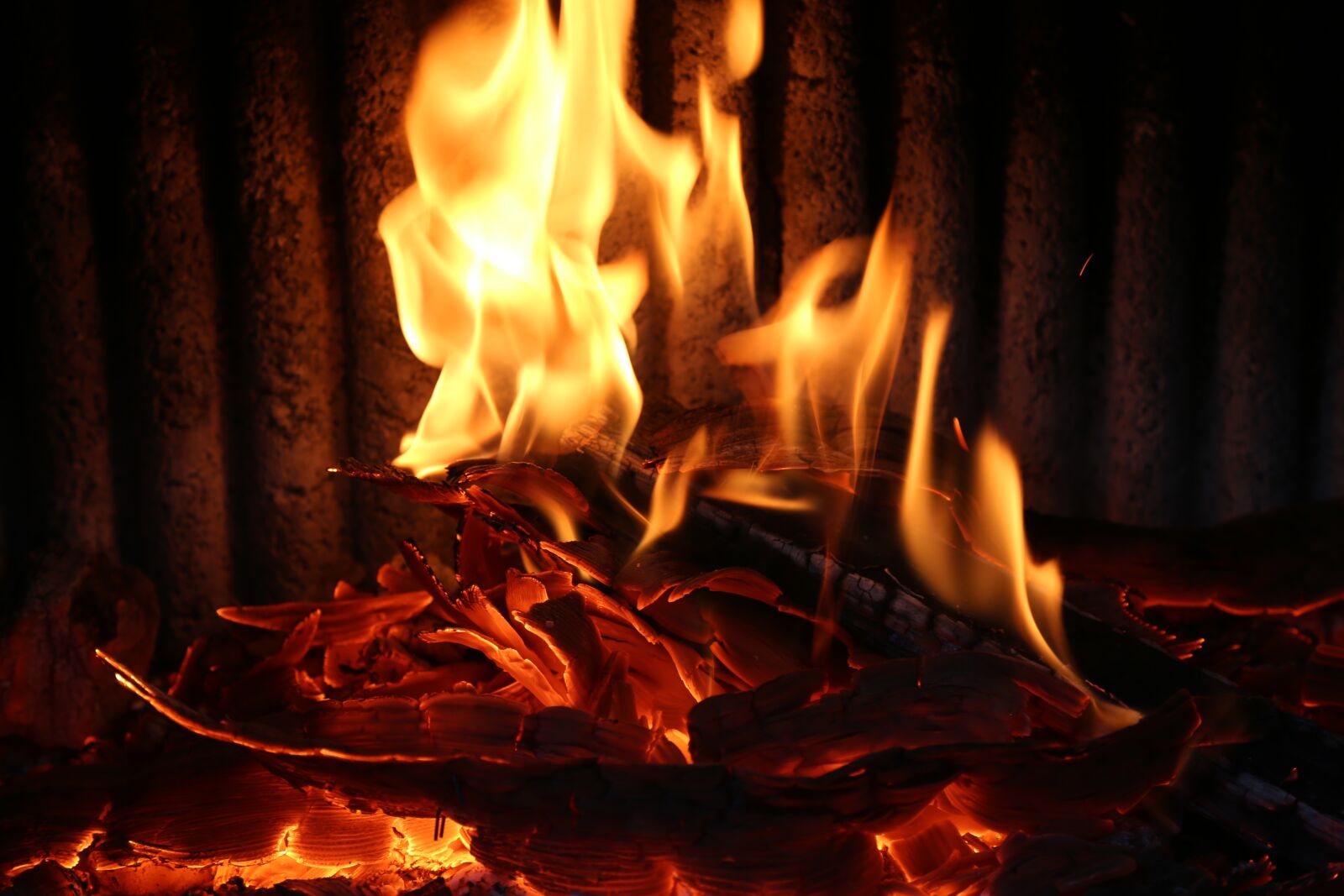 Canon EF 24-105mm F4L IS USM sample photo. Fire, flame, grill photography